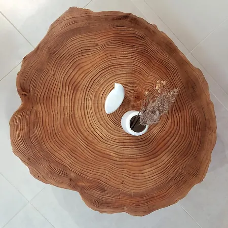 Coco, Elegance And Serenity In Apartament *