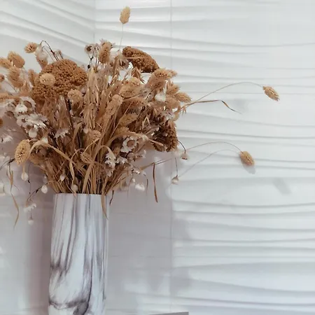 Coco, Elegance And Serenity In Apartament Collioure