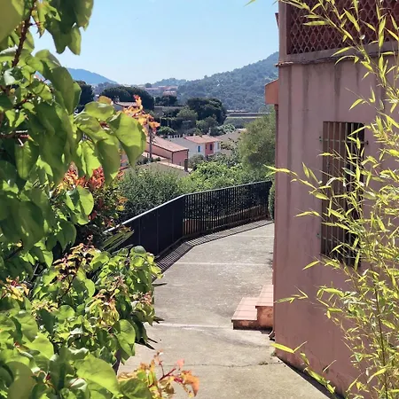 Coco, Elegance And Serenity In * Collioure